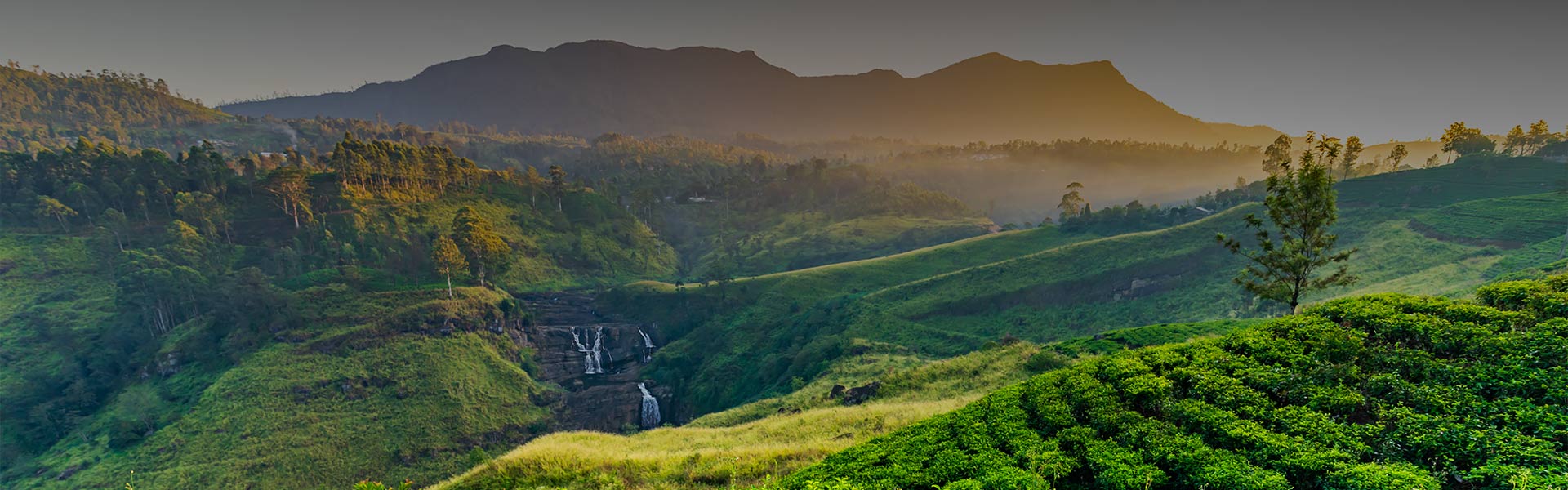 Day Experiences in Nuwara Eliya