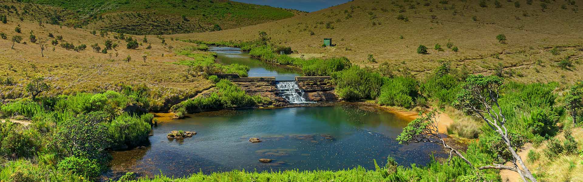 Horton Plains National Park