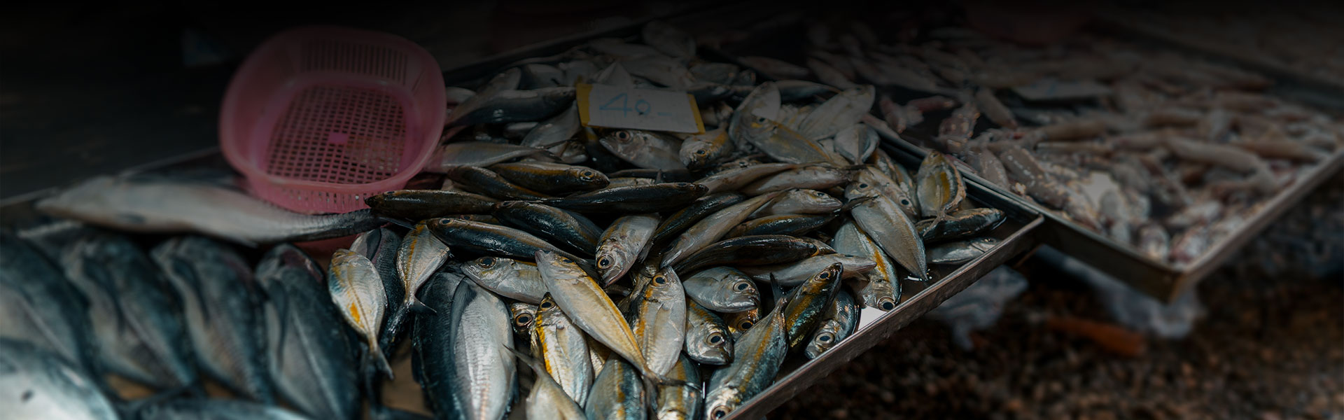 Fish Market in Negombo