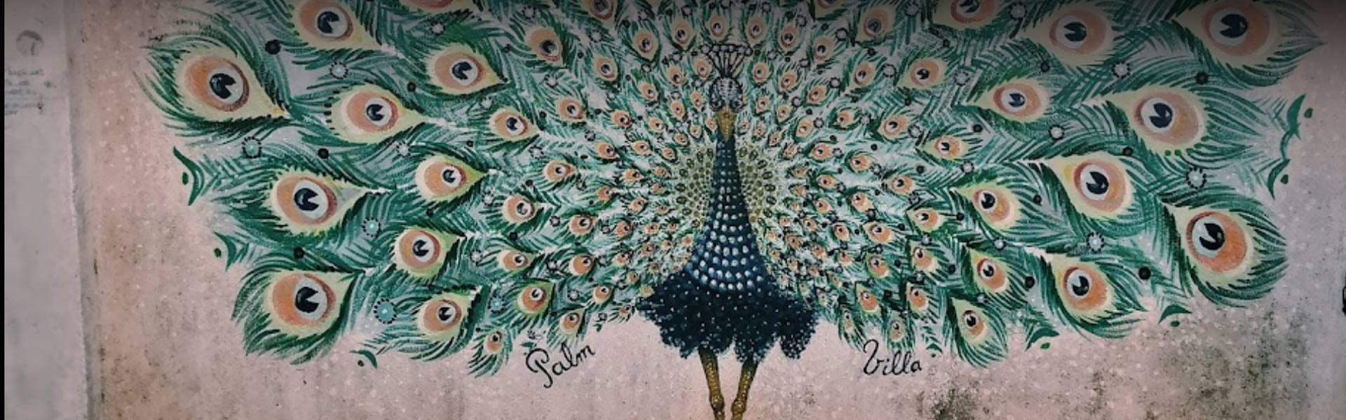 Street Art in Mirissa