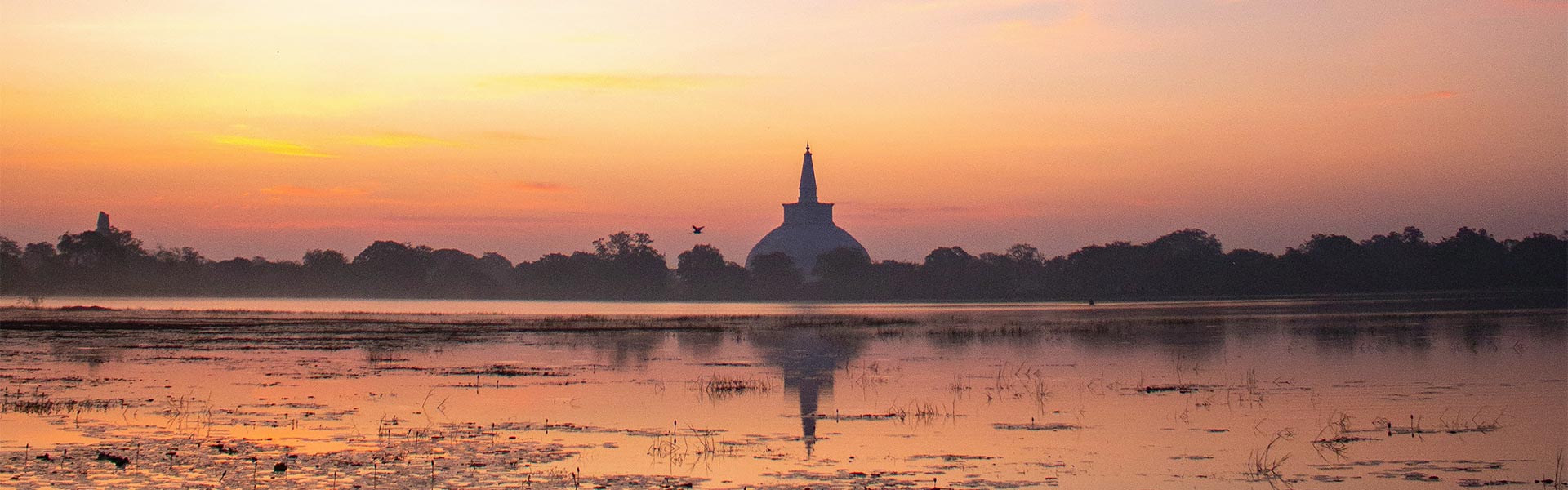 Sacred Anuradhapura