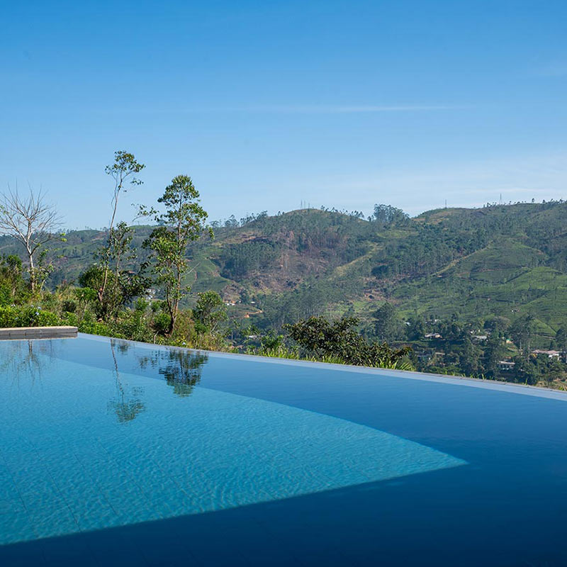 Camellia-Hills-pool-800x800