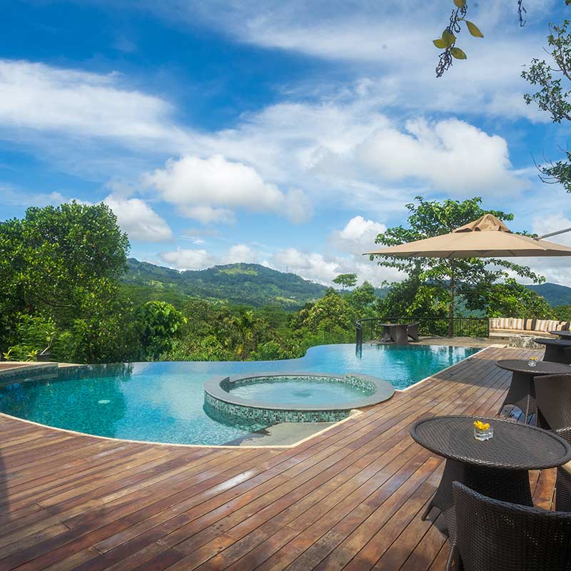 Dendrobium-House-Pool-800x800