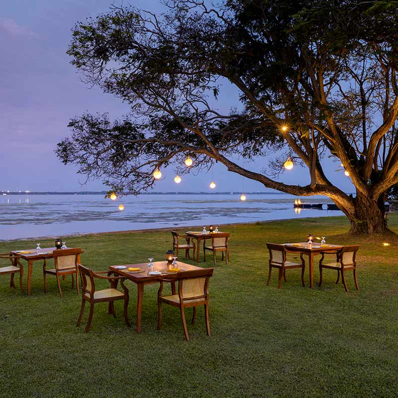 Dining-800x800