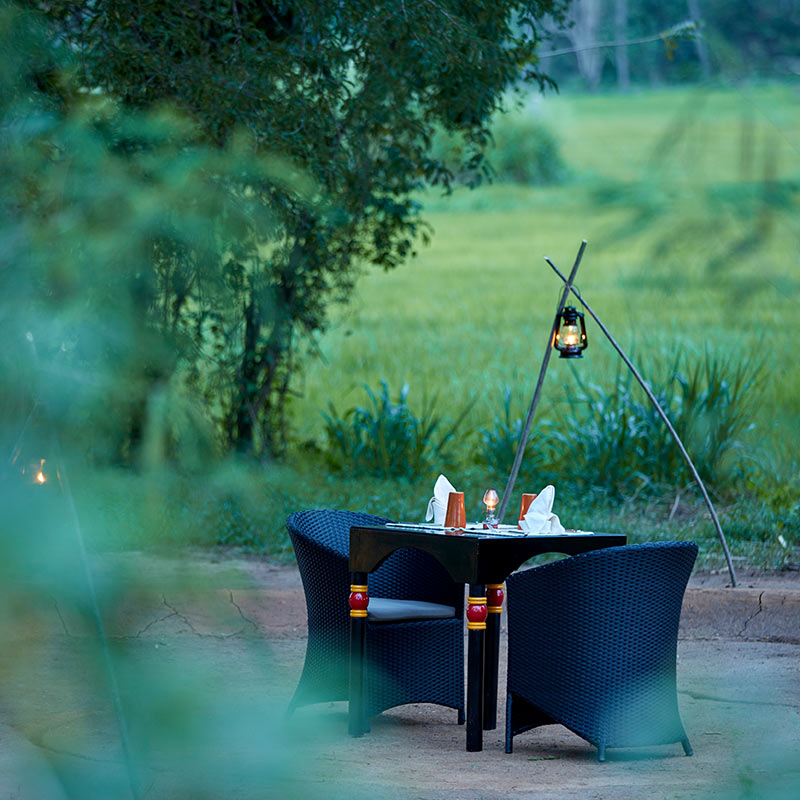 Dining-in-Jetwing-Kaduruketha-800x800