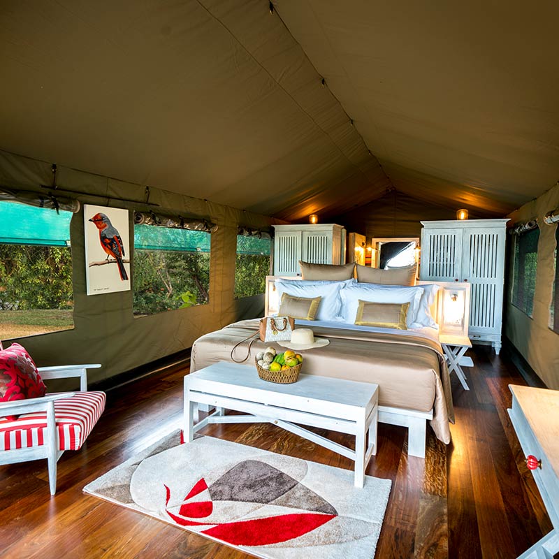 Flameback-Eco-Lodge-Deluxe-Lake-View-Lodge-800x800