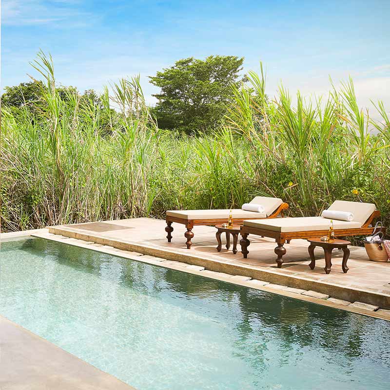 Jetwing-Vil-Uyana-Forest-Dwelling-with-Pool--4-800x800
