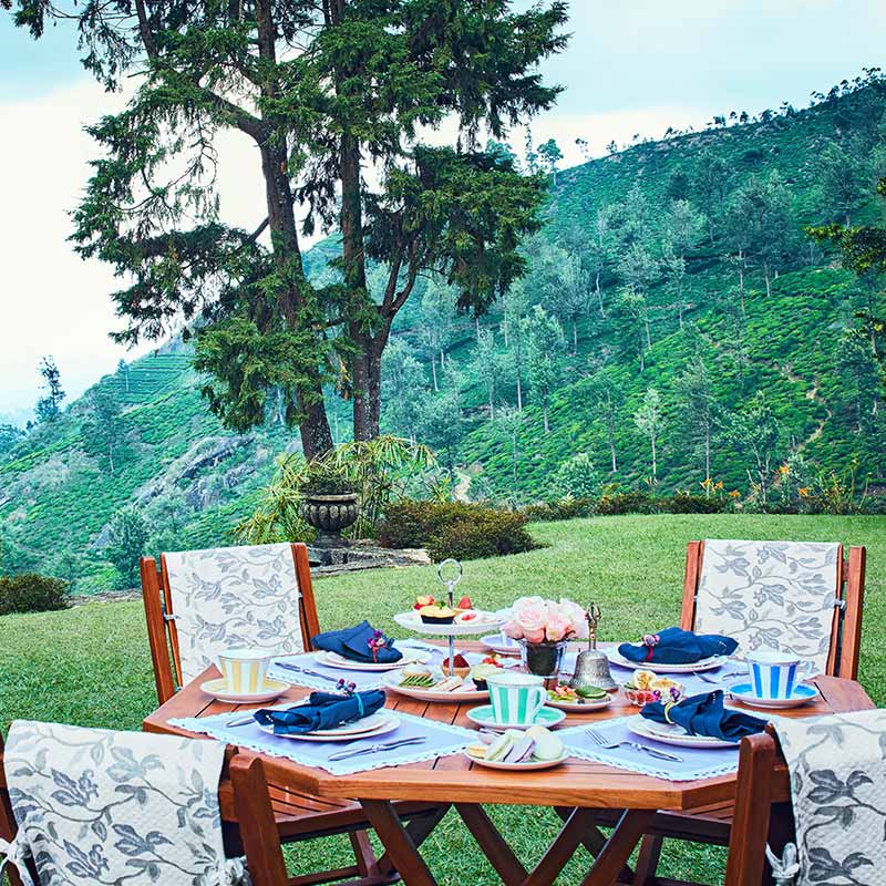 Outdoor-Dining-800x800