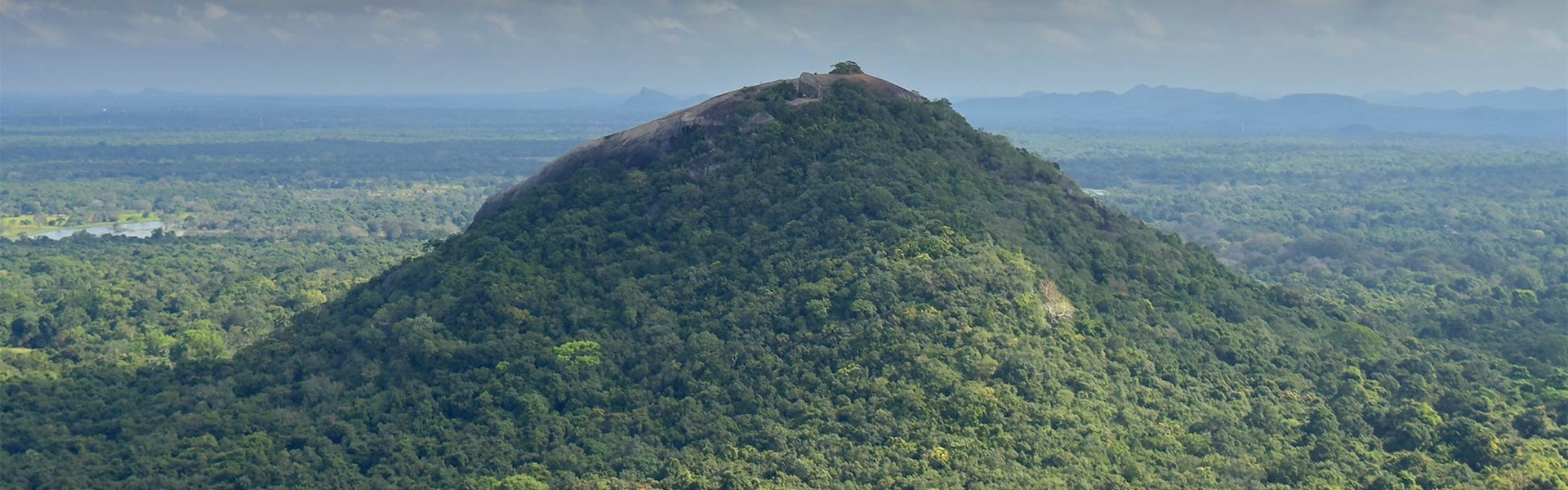 Pidurangala Rock