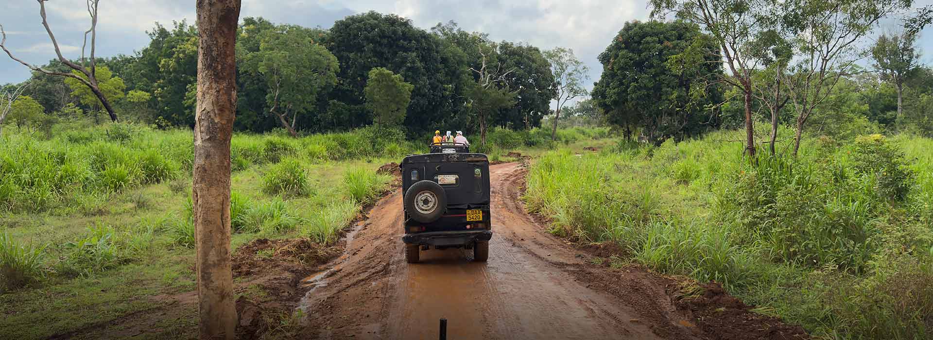 The Best Wildlife Parks Beyond Sigiriya