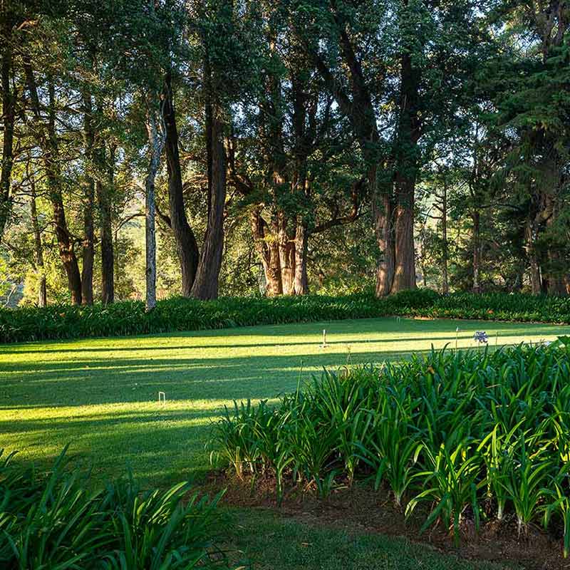 garden-800x800