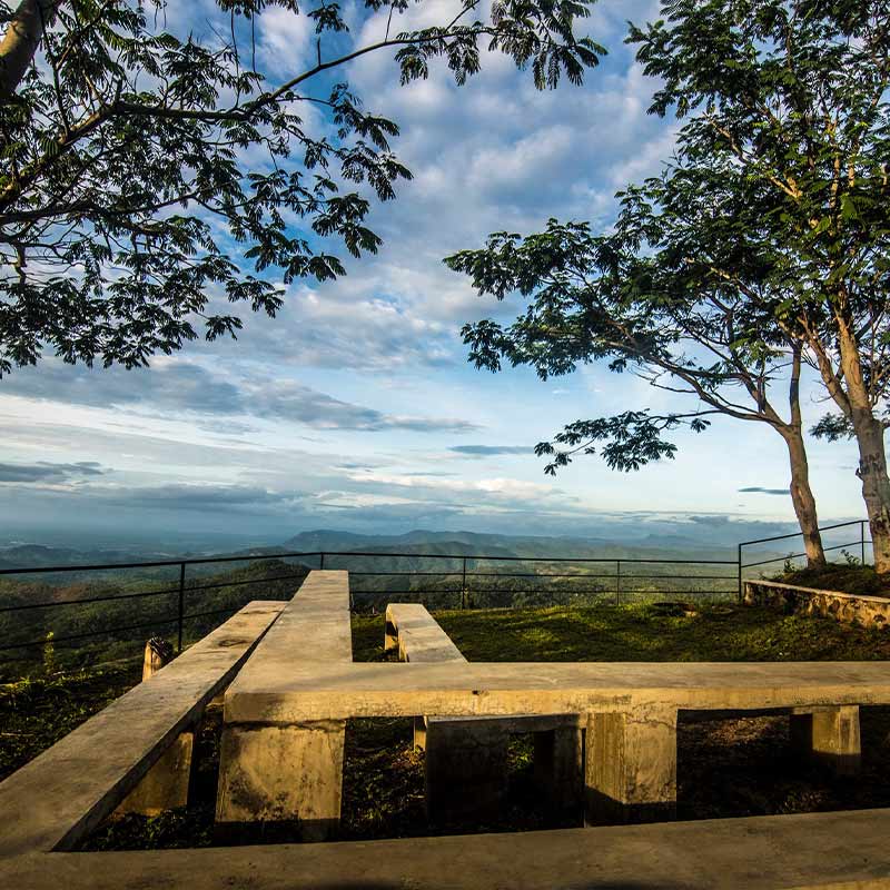 Honeymoon-in-Haputhale-3-800x800