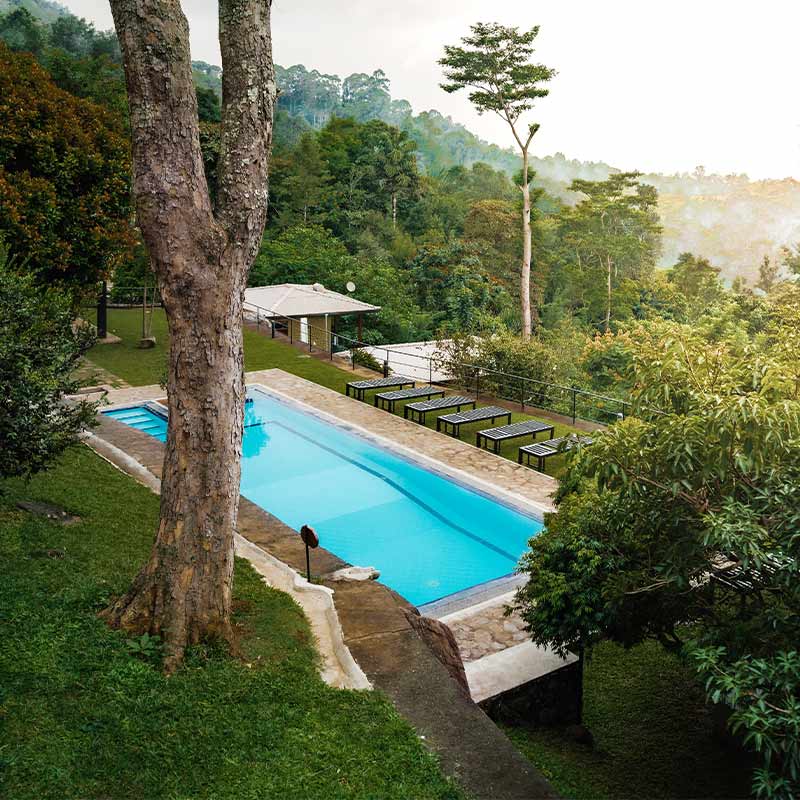 Honeymoon-in-Haputhale-5-800x800