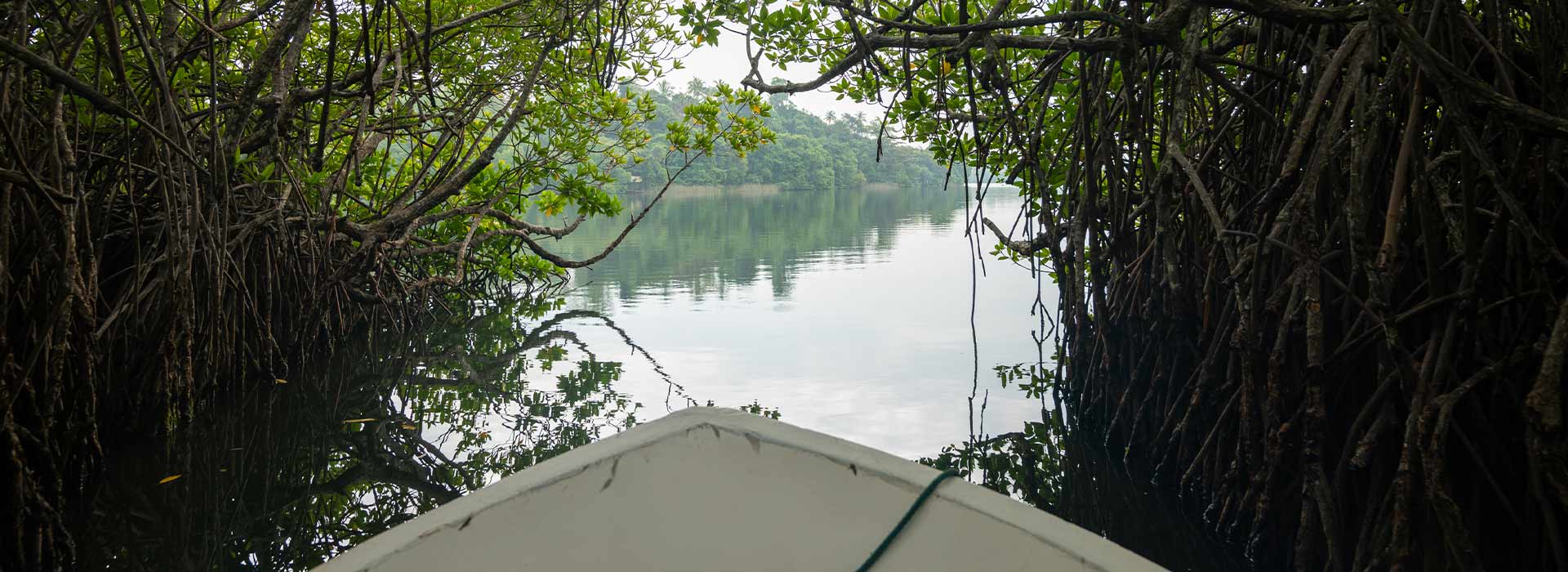 madu river boat safari